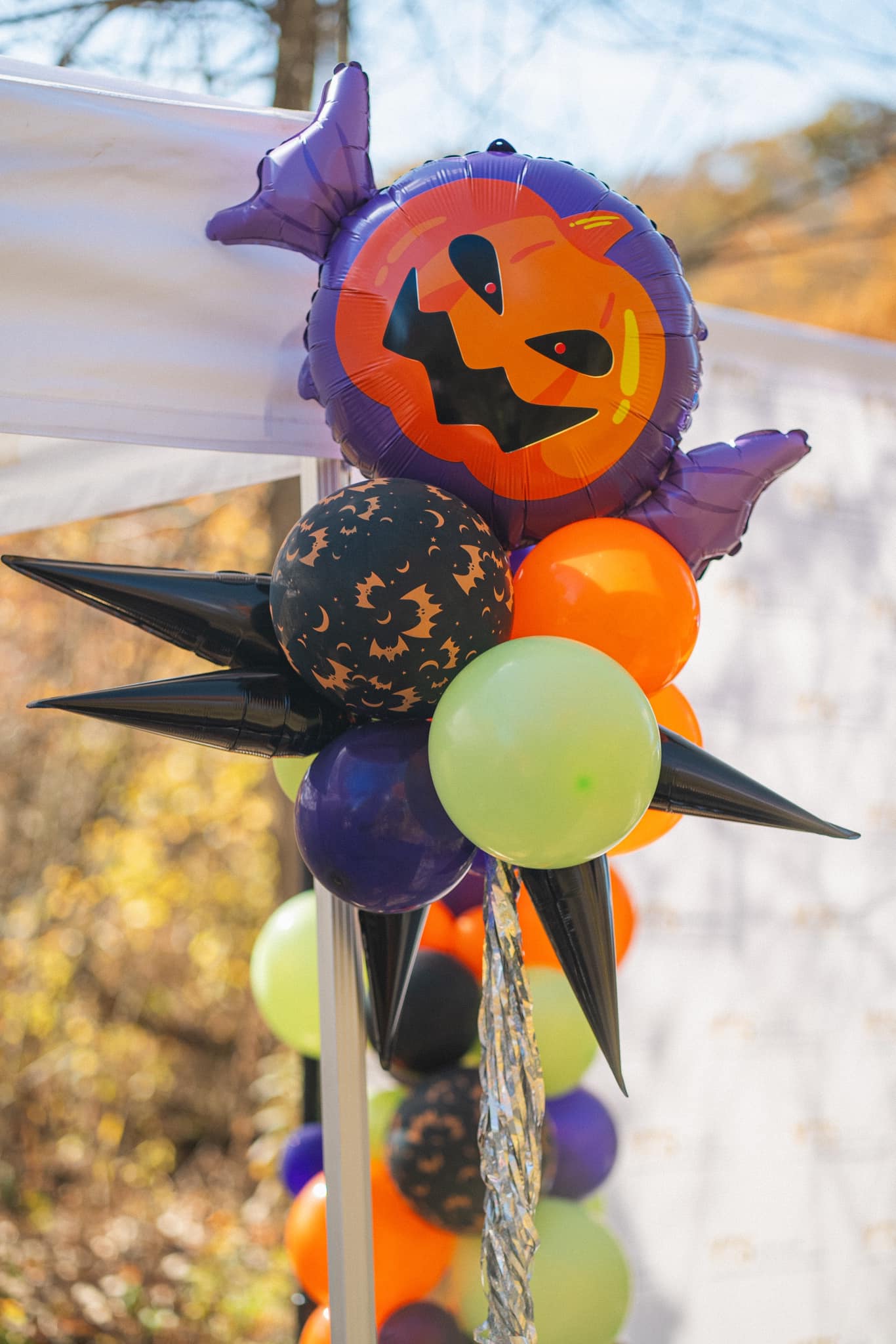 YTS booth at the Trick or Treat on the Trail 2024 event