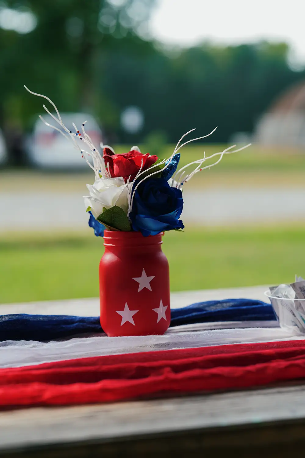 YTS Virginia Family Picnic